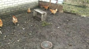 Новополянье! Наконец-то дошёл до пруда!