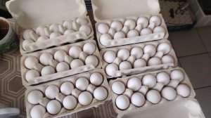 Купил в Дикси на Пасху по выгодной цене куриное яйцо Окское