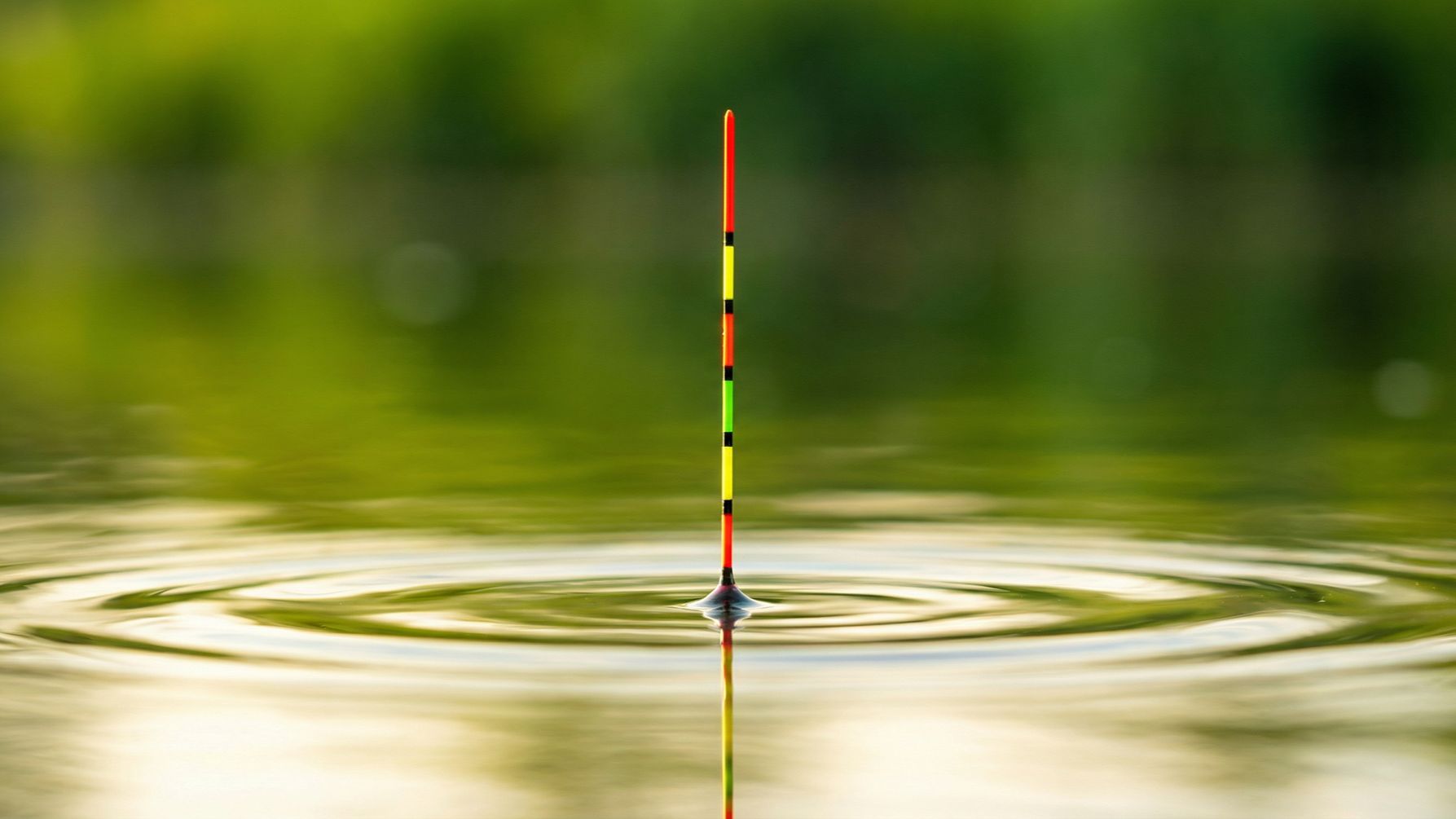 Первый весенний карась! ХЕРАБУНА! Рыбалка 2026