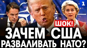 Зачем США разваливать НАТО?