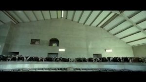 Фрагмент Samsara из трилогии документальных фильмов Рон Фрике