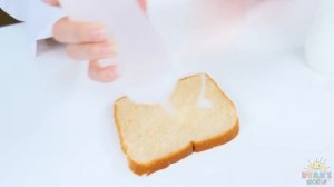 How to keep bread from molding science experiment DIY!!!