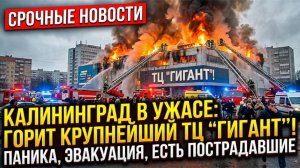 ПОЖАР В КАЛИНИНГРАДСКОМ «ГИАНТЕ» — ТРИ ПОСТРАДАВШИХ