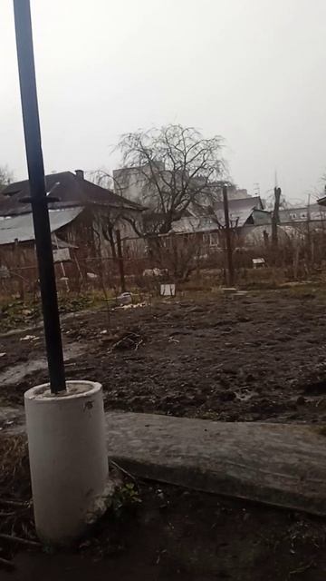 дождь  сильный. дождь дождь дождь дождь