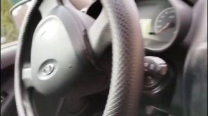 petal_20260405_163124.mp4