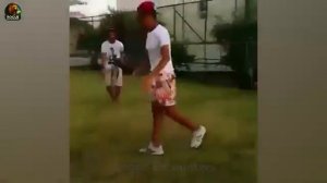 Реальные встречи с дикими животными.