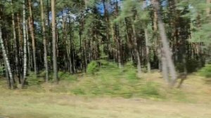 песня поезд в Петрозаводск