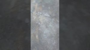 продолжение 2 ?????