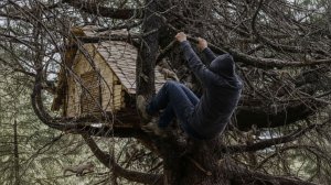 Строим уютное укрытие в виде домика на дереве в дикой природе / Как выжить в морозную зиму