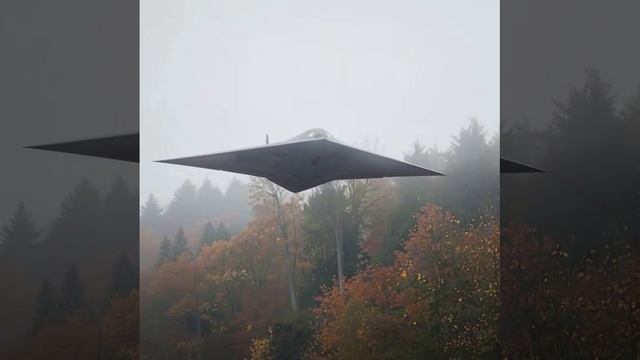 BAT Летучая мышь