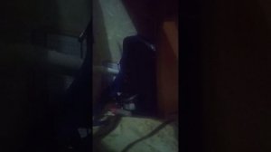 видео плёнка 1 mp4