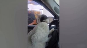 CS GO 2 И ЧЕЛЛЕНДЖ