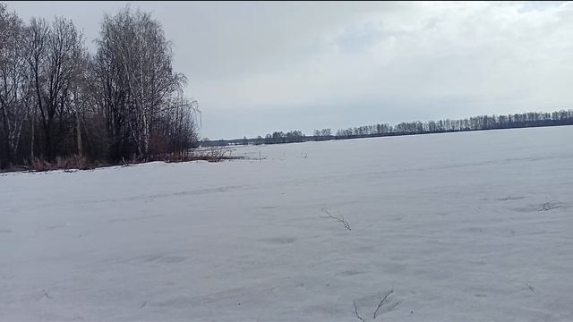 КопЪ. Тульская область, снега еще по колено. Поле даёт от ворот поворот смотреть онлайн