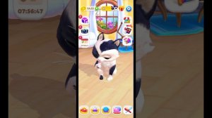 Мой питомец в игре My cat.