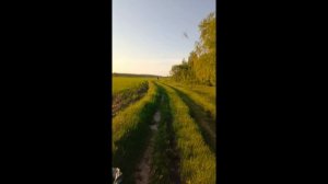 5Е 6 Е 7 Е ПОЛОЖЕНИЕ ОРТОДОКСИИ