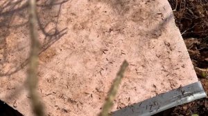 Делаем шалаш!