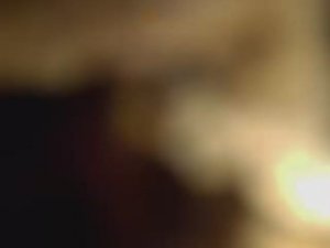 RVA: Спиридоновы и ГЦОСПВ