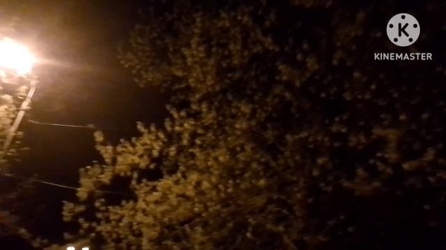 Доброй ночи, волгоградцы! смотреть онлайн