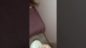 VID_20260405_193815.mp4