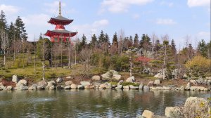 #Краснодар Парк Галицкого март 2026 Японский сад