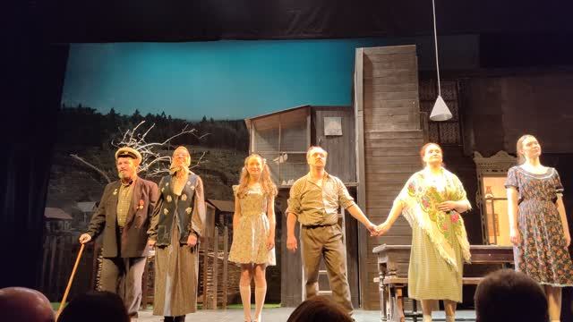 Любовь и голуби 