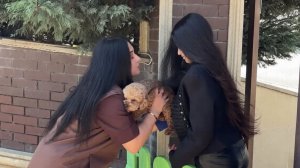 Первый детский сад для собак открылся в Азербайджане