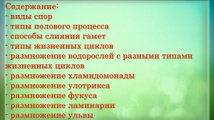 Размножение водорослей. Лекция.