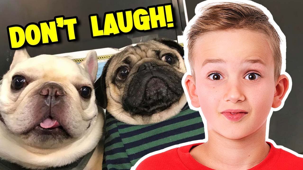 Экстремальное испытание «Попробуй не засмеяться»!