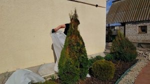 ЖИЗНЬ В СЕЛЕ:часть 3/ ОТКРЫЛА И УЖАСНУЛАСЬ