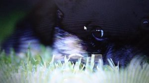 Что не так?!