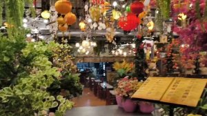 В поиске калогена Вьетнам 05.04.26.