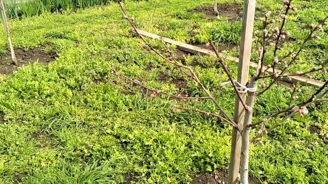 200Что за претензииЯ это снимать не могуДля нас это важноВысадила огурцыПирожки со щавелем