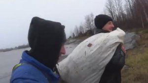 СЕВЕРНАЯ РЫБАЛКА!НАЛОВИЛИ КОРЮХОВ И КАМБАЛЫ ЦЕЛЫЙ МЕШОК!