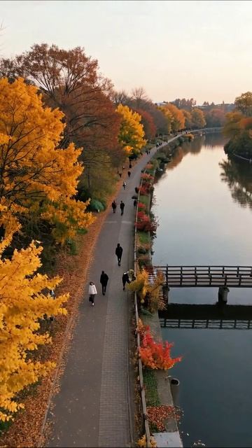 Осень на набережной: волшебные моменты #осень #пейзаж #природа