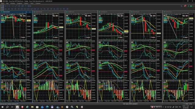 03.04.2026. Влияние NFP на курсы AUDCAD, AUDCHF, AUDJPY, AUDNZD, AUDUSD, EURAUD. Дисплей S01-AUD