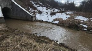 Стелс гепард 800, органайзер в кофр,  катка