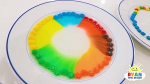 Skittles Science Experiments for Kids to do at home!!!