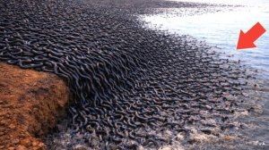 Невероятные моменты когда природа бунтует.