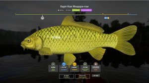 РАЗДАЧА РЕДКОГО КОИ НА КОМАРЕ И НОВЫЕ ТОЧКИ ФАРМА НА МЕДНОМ И ДРУГИХ ВОДОЕМАХ В РУССКОЙ РЫБАЛКЕ 4