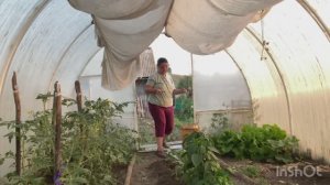 Встаю вместе с солнышком и за работу в огород