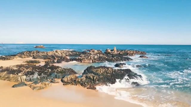 практика Р Кадыров из книги ПТСР
волшебный магазинчик