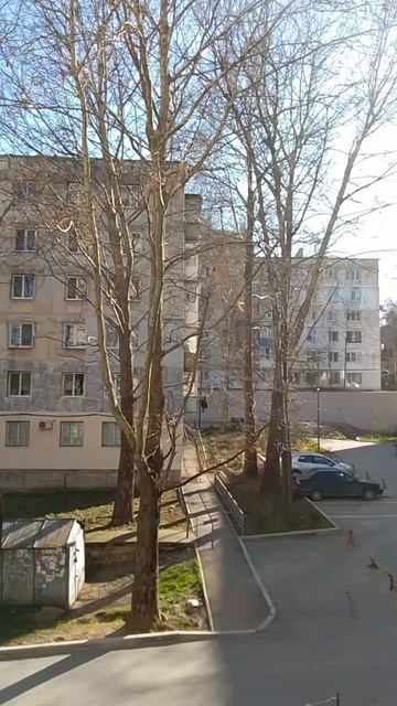 новости региона Самара | 06.04 2026