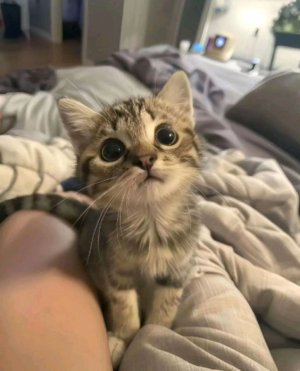 Всем привет 💝 у меня в гостях сегодня (💝)