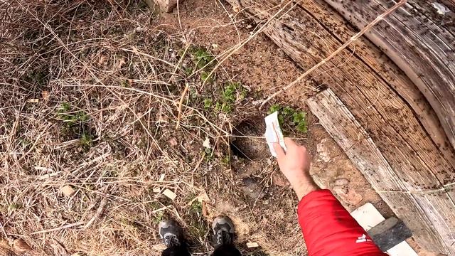 Купил заброшенный дом в деревне ! Выпустил овец ! Вот такой выходной ! №24