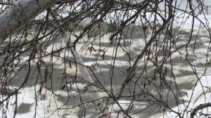 Банников Вадим Назаров Анатолий "Март"