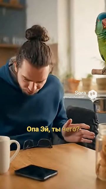 Попугай прикол #попугай #прикол #смешно