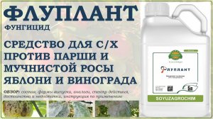 Флуплант – средство для с/х против парши и мучнистой росы яблони и винограда. Обзор фунгицида