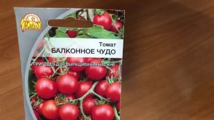 Балконное чудо