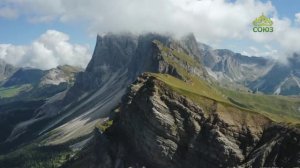 Стихи над миром. Роман Перельштейн. «Изгонял торгующих из храма...»