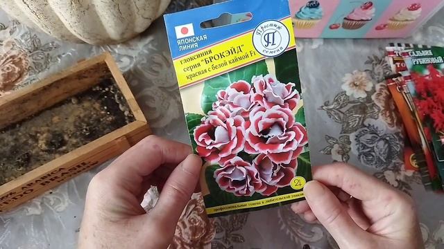 Что делать с рассадой дальше. Отчёт по моей рассаде